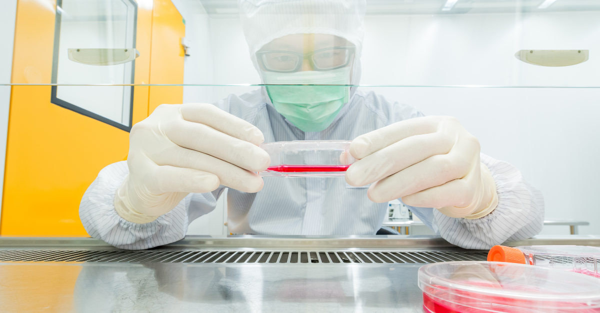 GMP operator performing cell culture in a biosafety cabinet