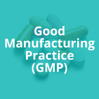 GMP Auditing Button